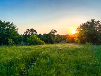 Land for sale in Freestone County, Texas