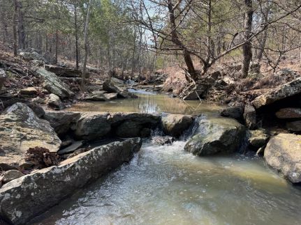 Timberland Property for sale in Hughes County, Oklahoma