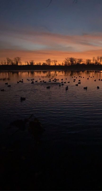 Farm and Ranch for sale in Calhoun County, Illinois