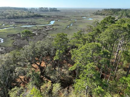 Farm and Ranch for sale in Camden County, Georgia