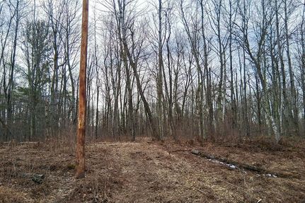 Timberland Property for sale in Washburn County, Wisconsin