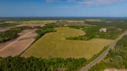 Land for sale in Worth County, Georgia