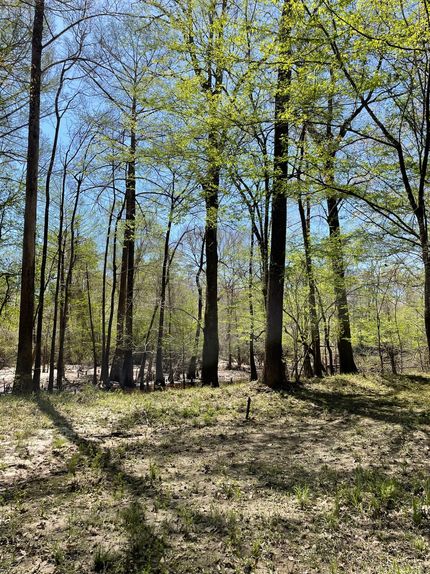 Farm and Ranch for sale in Covington County, Alabama