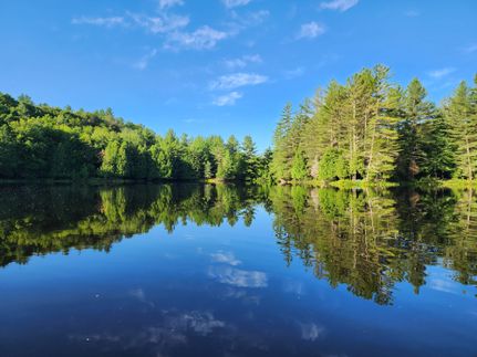 Farm and Ranch for sale in Lewis County, New York