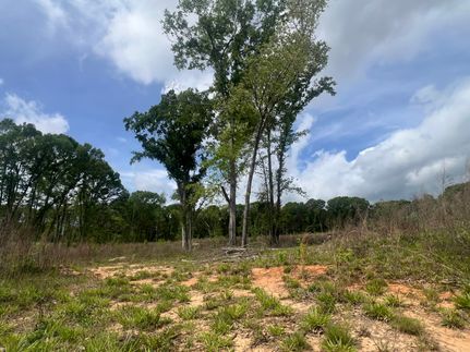 Recreational Property for sale in Scott County, Mississippi
