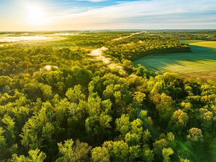 Undeveloped Land for sale in Weakley County, Tennessee