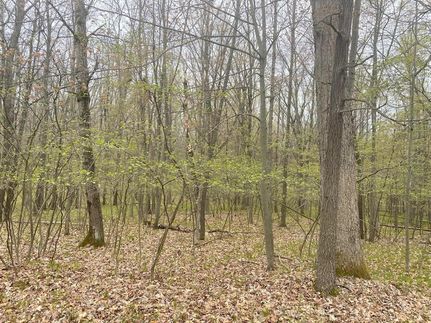 Timberland Property for sale in Mecosta County, Michigan