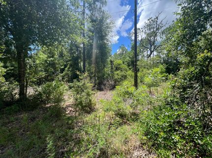 Farm and Ranch for sale in Dixie County, Florida