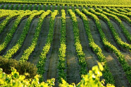 Land for sale in San Luis Obispo County, California