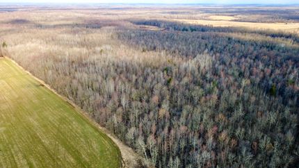 Recreational Property for sale in Rusk County, Wisconsin