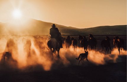 Farm and Ranch for sale in Chaves County, New Mexico