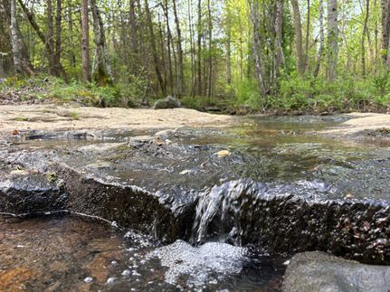 Farm and Ranch for sale in Jackson County, Alabama