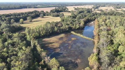 Timberland Property for sale in Oktibbeha County, Mississippi