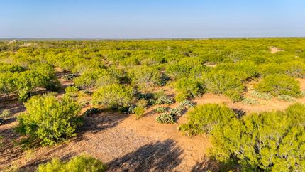 Land for sale in Atascosa County, Texas