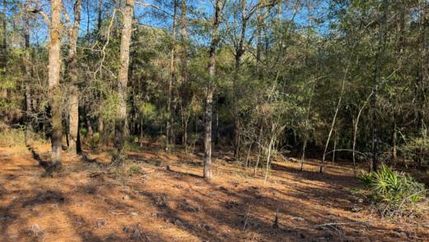 Commercial Property for sale in Walton County, Florida