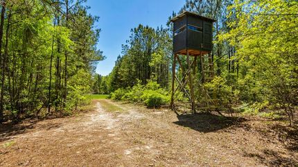 Undeveloped Land for sale in Taylor County, Georgia