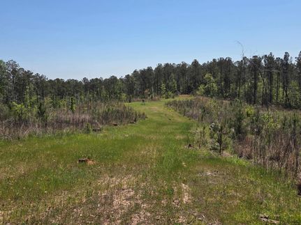 Timberland Property for sale in Coosa County, Alabama