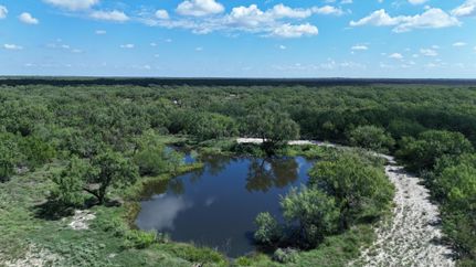Farm and Ranch for sale in Dimmit County, Texas