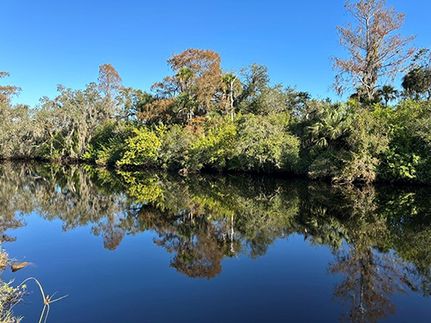 Timberland Property for sale in Lee County, Florida
