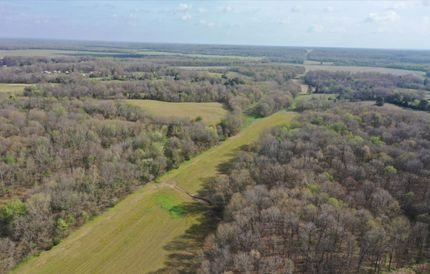Timberland Property for sale in Graves County, Kentucky