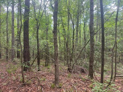 Timberland Property for sale in Simpson County, Mississippi
