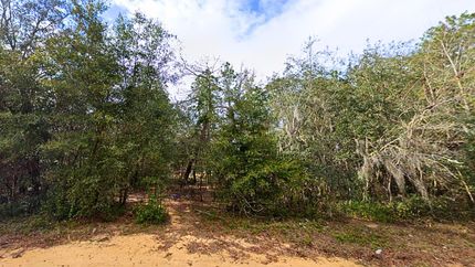 Recreational Property in Putnam County, Florida
