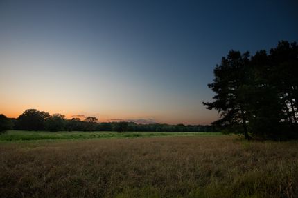 Riverfront Property for sale in Upshur County, Texas