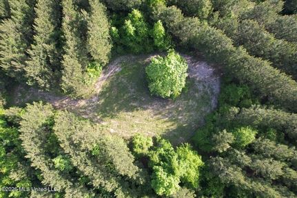 Timberland Property for sale in Saint Helena Parish, Louisiana