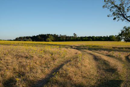 Undeveloped Land for sale in Smith County, Texas