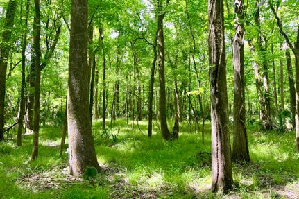 Recreational Property for sale in Iberville Parish, Louisiana