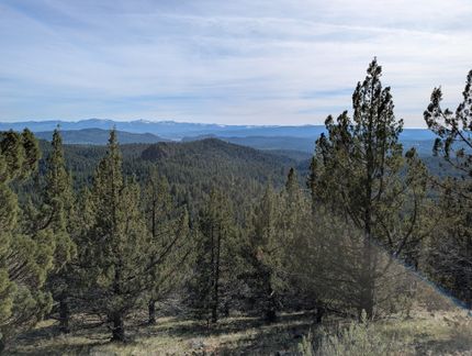 Timberland Property for sale in Baker County, Oregon
