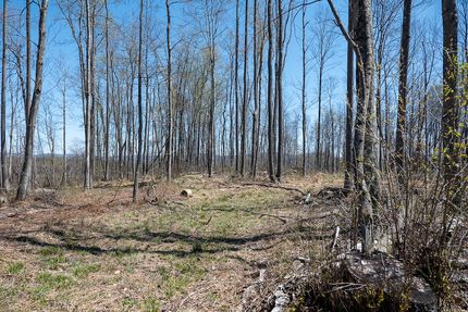 Land for sale in Preston County, West Virginia