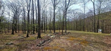 Land for sale in Grant County, West Virginia