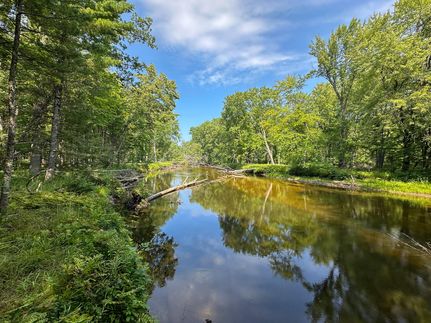 Land for sale in Clare County, Michigan