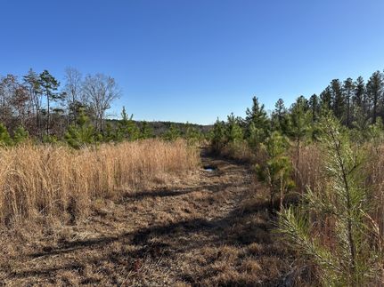 Undeveloped Land in York County, South Carolina