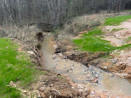 Timberland Property for sale in Cherokee County, Alabama