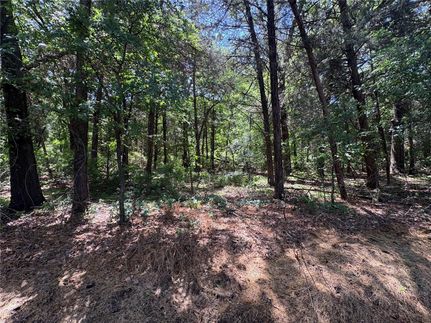 Timberland Property for sale in Hopkins County, Texas