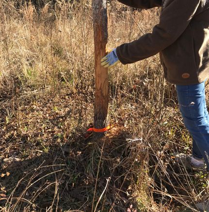 Farm and Ranch for sale in Oktibbeha County, Mississippi