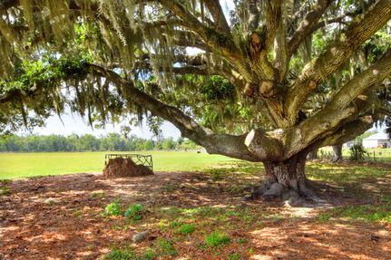 Land for sale in Hillsborough County, Florida