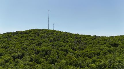 Timberland Property for sale in Talladega County, Alabama