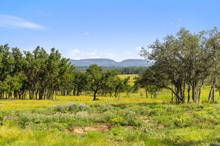 Undeveloped Land for sale in Blanco County, Texas