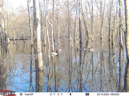 Recreational Property for sale in Woodruff County, Arkansas