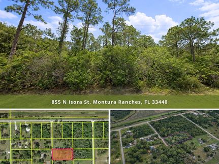Farm and Ranch for sale in Hendry County, Florida