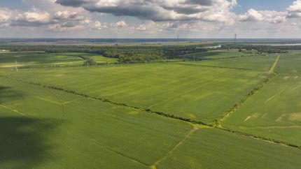 Land for sale in Schuyler County, Illinois