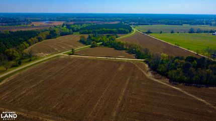 Undeveloped Land for sale in Geneva County, Alabama