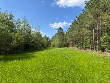 Farm and Ranch for sale in Leake County, Mississippi