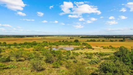 Timberland Property for sale in Young County, Texas