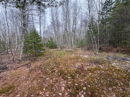 Farm and Ranch for sale in Penobscot County, Maine