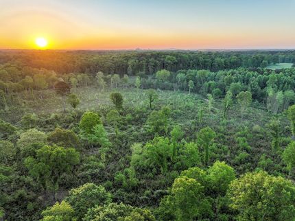 Land for sale in Lamar County, Georgia
