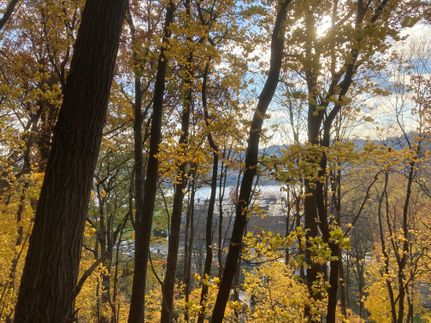 Land for sale in Allegheny County, Pennsylvania